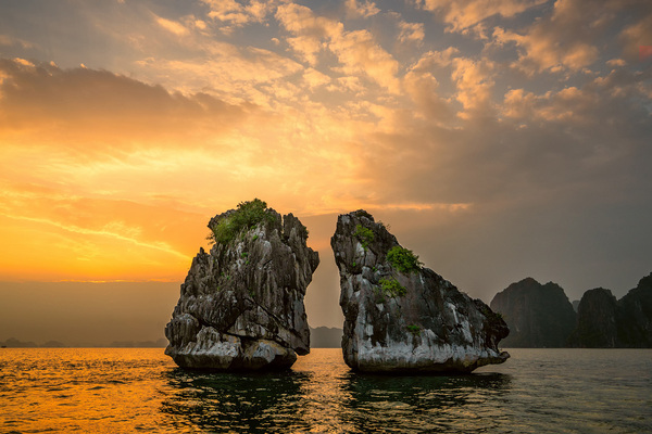 ha long qn